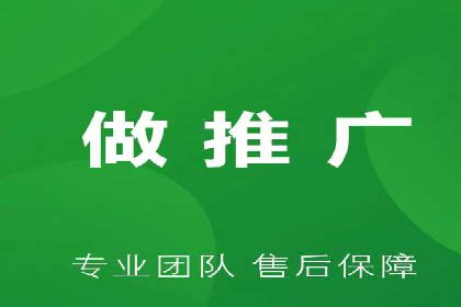 网络推广与竞价广告：双管齐下的策略案例